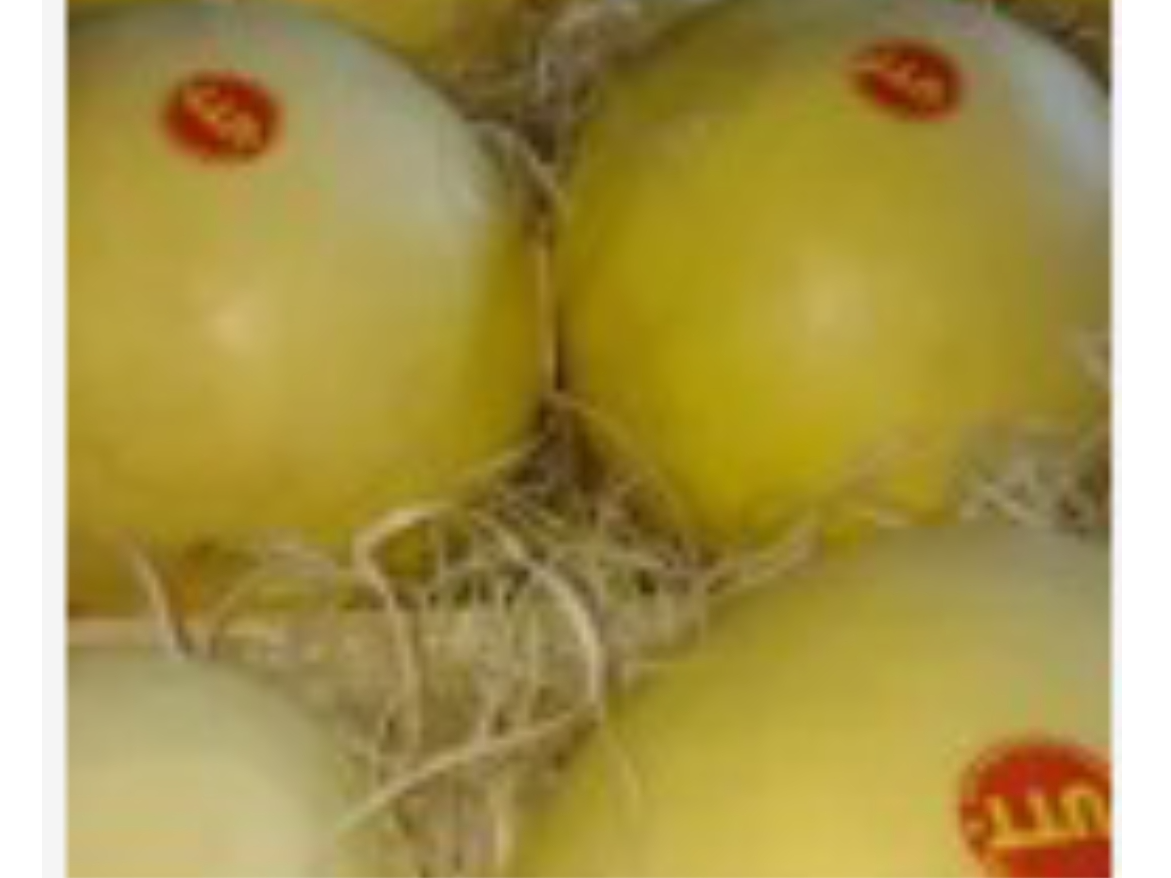 Melon 1u. (1 - 1,8kg aprox)