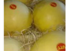 Melon 1u. (1 - 1,8kg aprox)