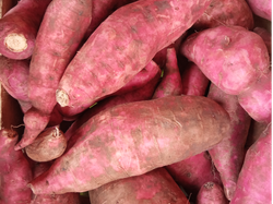 Batatas Arapey 1k