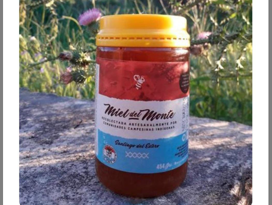 Miel del Monte Santiagueño 500g