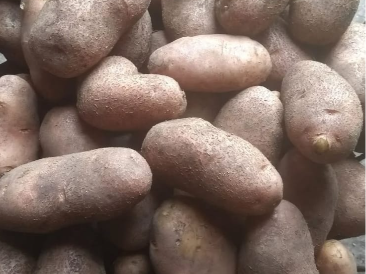 Papas Blancas UTT Bolsón 5k