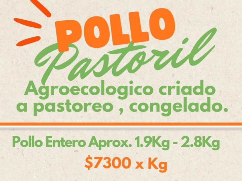 Pollo Entero (1,8 a 2,8 kg aprox c/u) Precio x kg