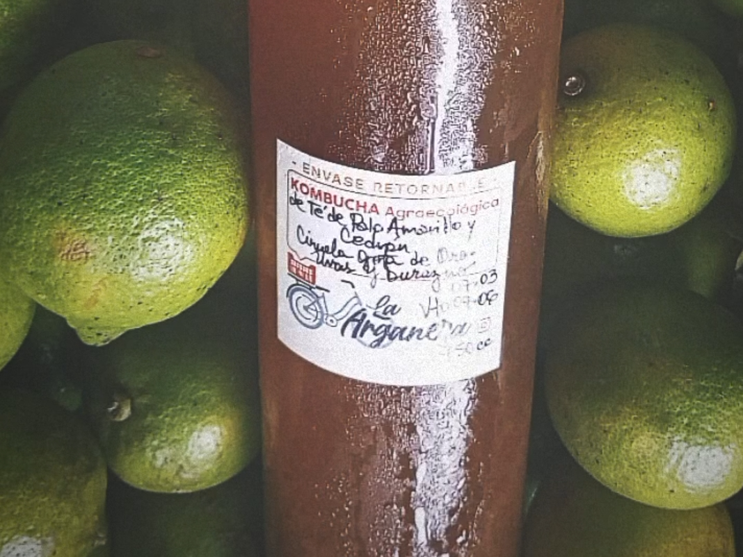 Kombucha Multifrutas de Té Negro "La Arganera" 750cc
