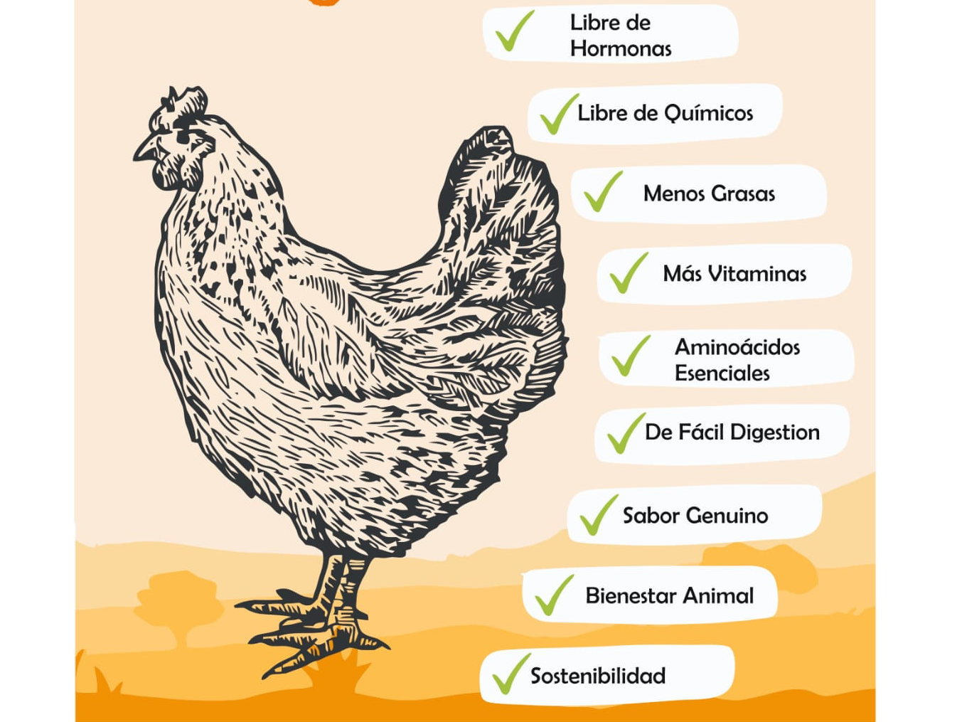Menudos de Pollos 1kg