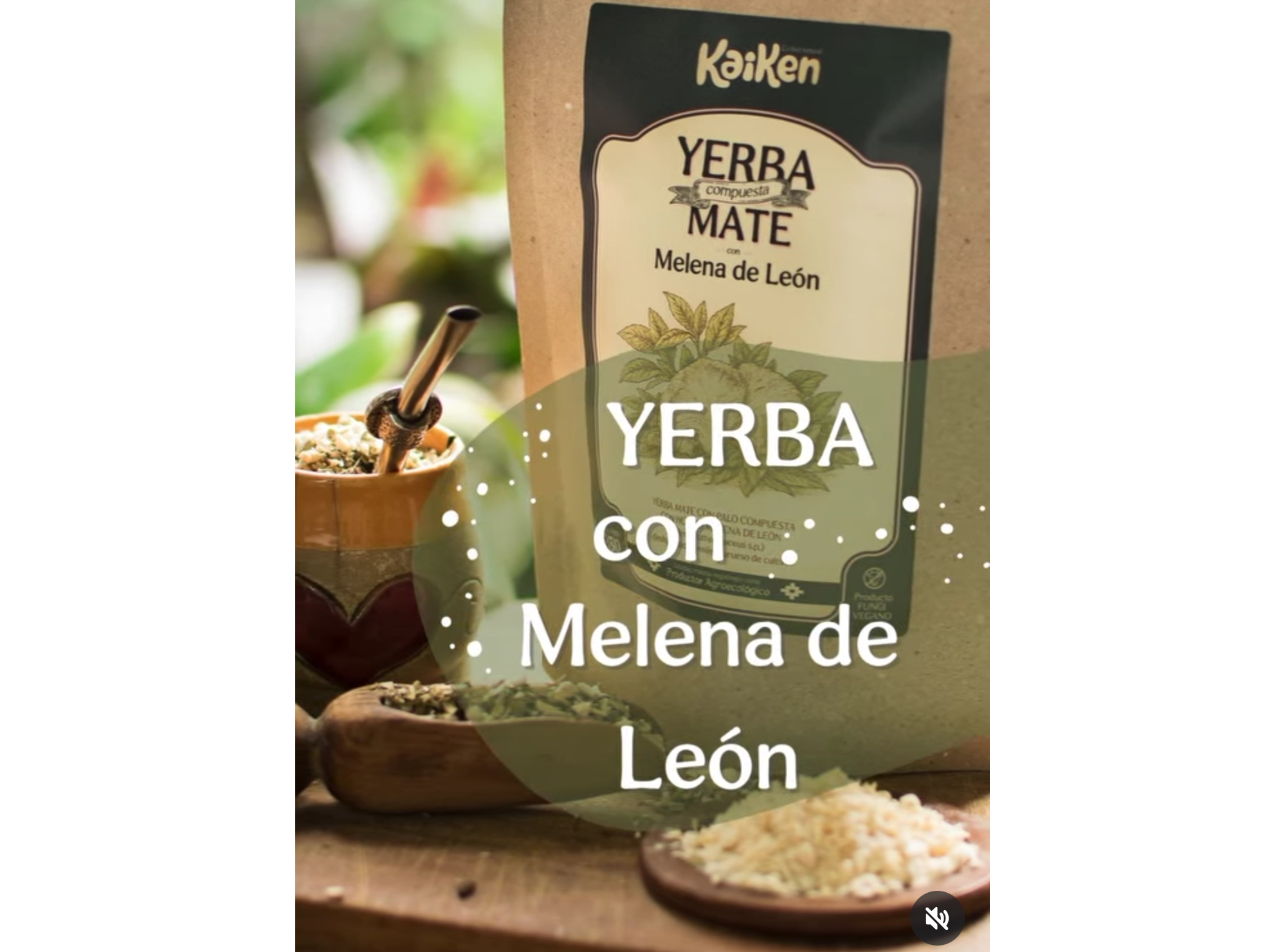 Yerba con Melena de León! "Kaiken"