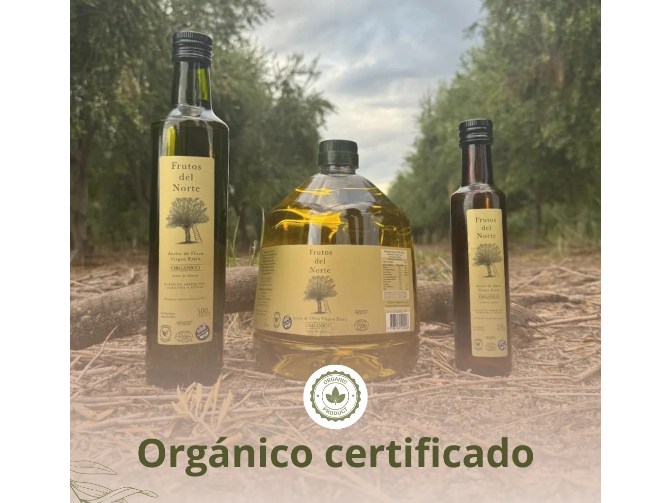 Oliva Virgen Extra "Frutos del Norte" 500cc