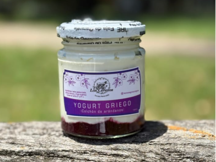 Yogurt Griego con Mermelada de Arándanos 190ml