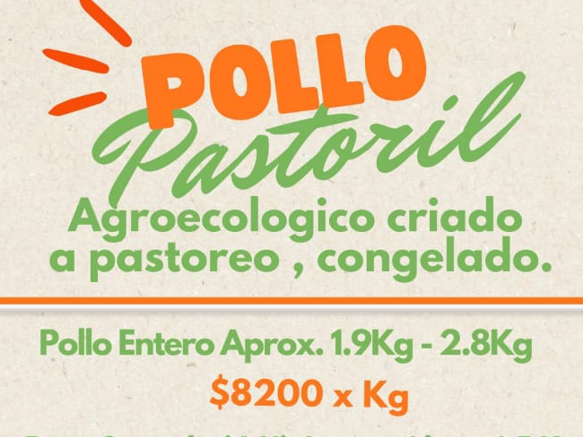 Pollo Entero (1,9 a 2,8 kg aprox c/u) Precio x kg