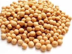 Porotos de Soja "Salve la Tierra" 500g