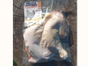 Pata & Muslo x 4u. (1 a 1,5kg aprox) Precio x kg