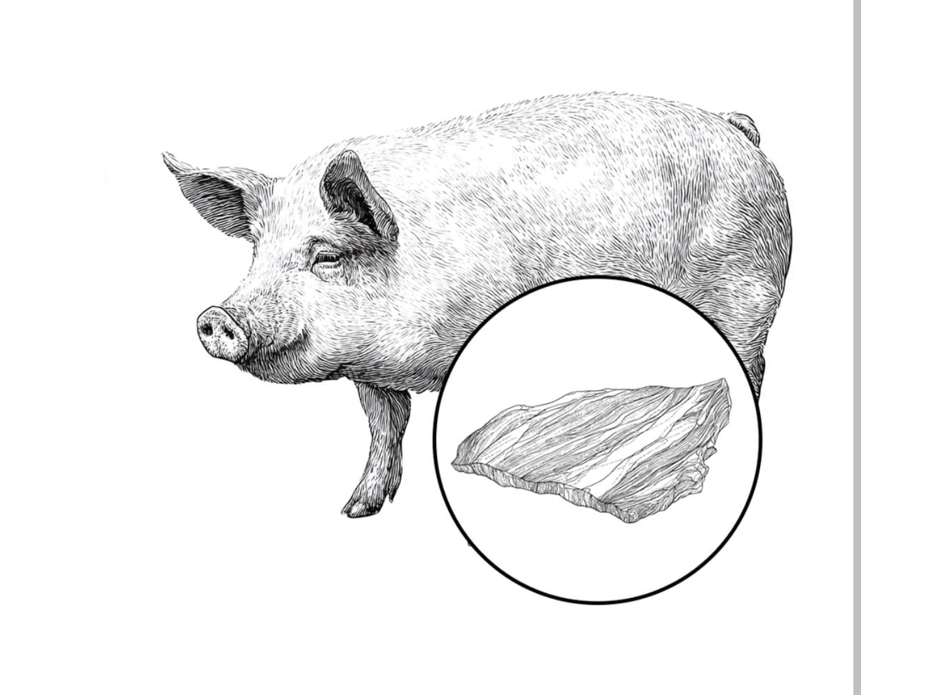 Churrasquitos Parrilleros de Cerdo 1k aprox