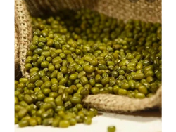 Poroto Mung Orgánico