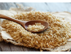 Arroz Yamaní Agroecologico Caupolican