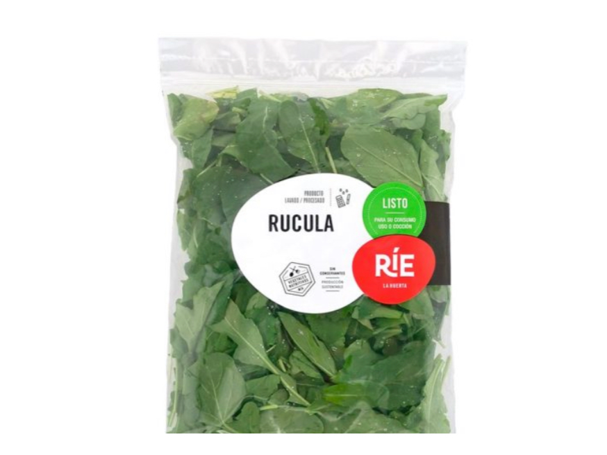 Rucula