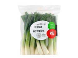 Cebolla de verdeo