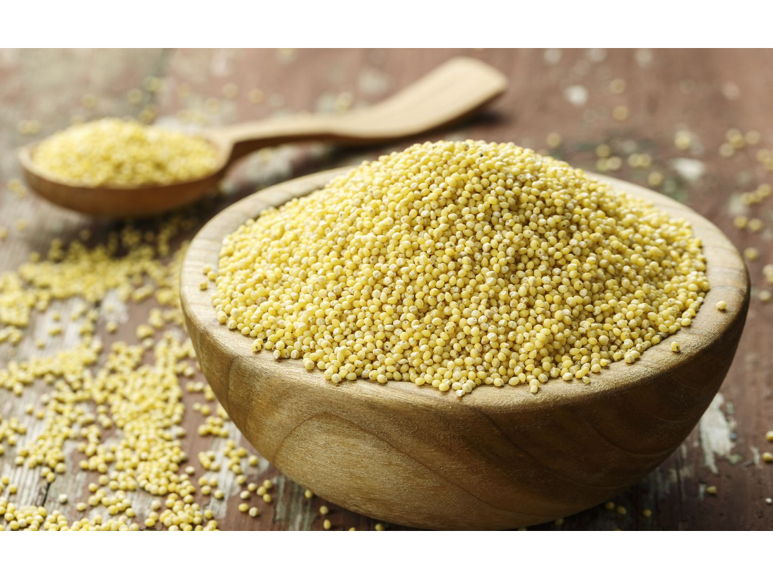 Mijo Organico Salve la Tierra