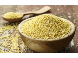 Mijo Organico Salve la Tierra