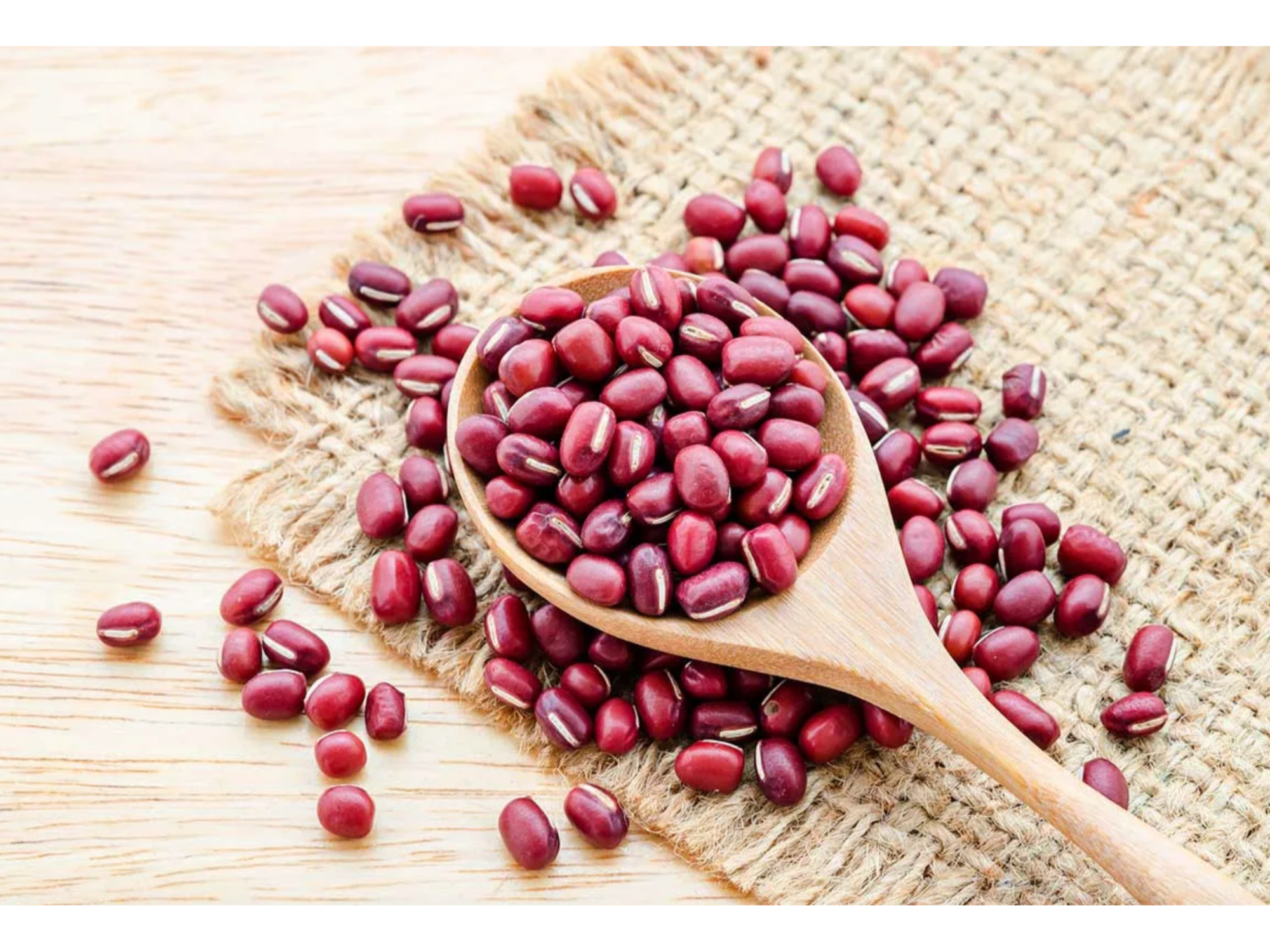 Poroto Adzuki Organico