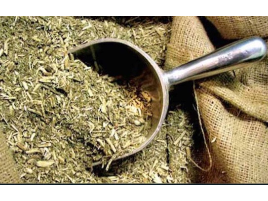 Yerba Mate Orgánica