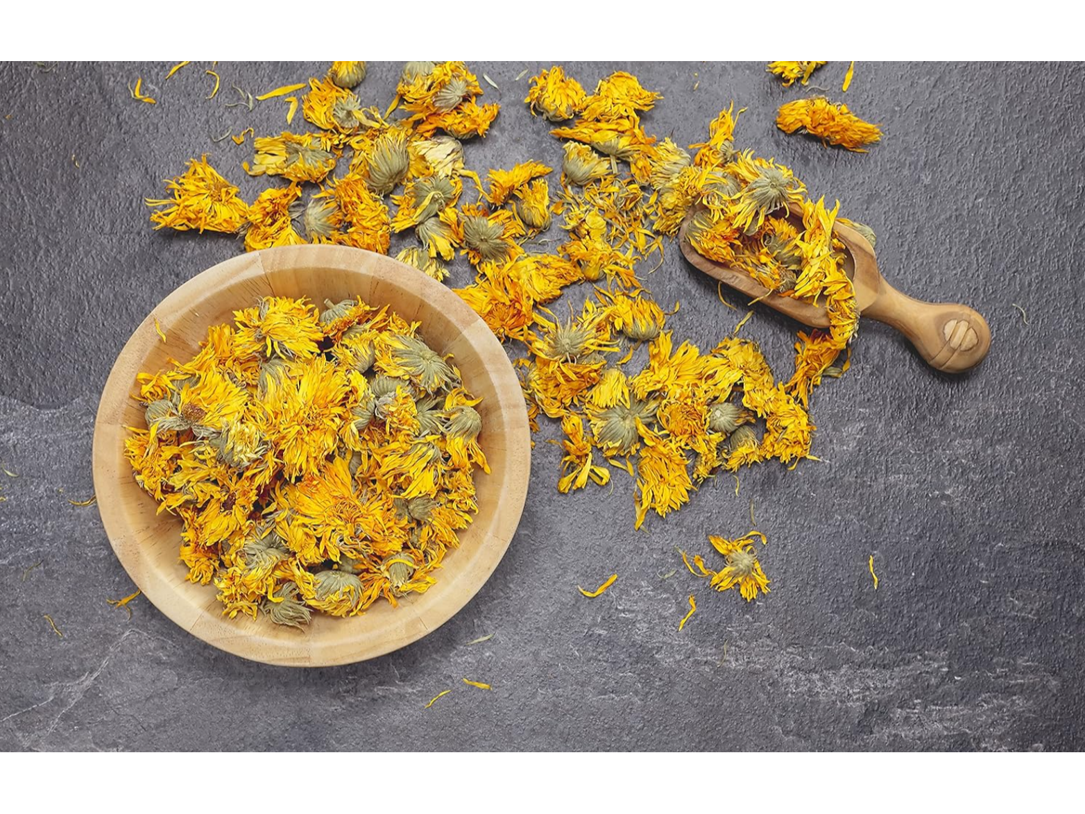 CALENDULA