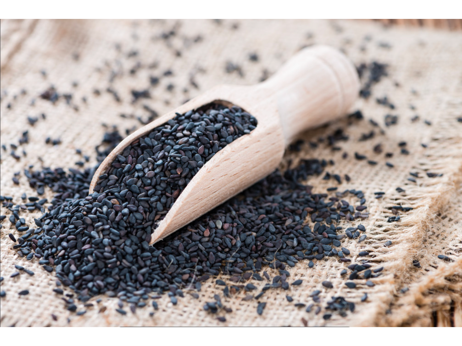 Sesamo Negro