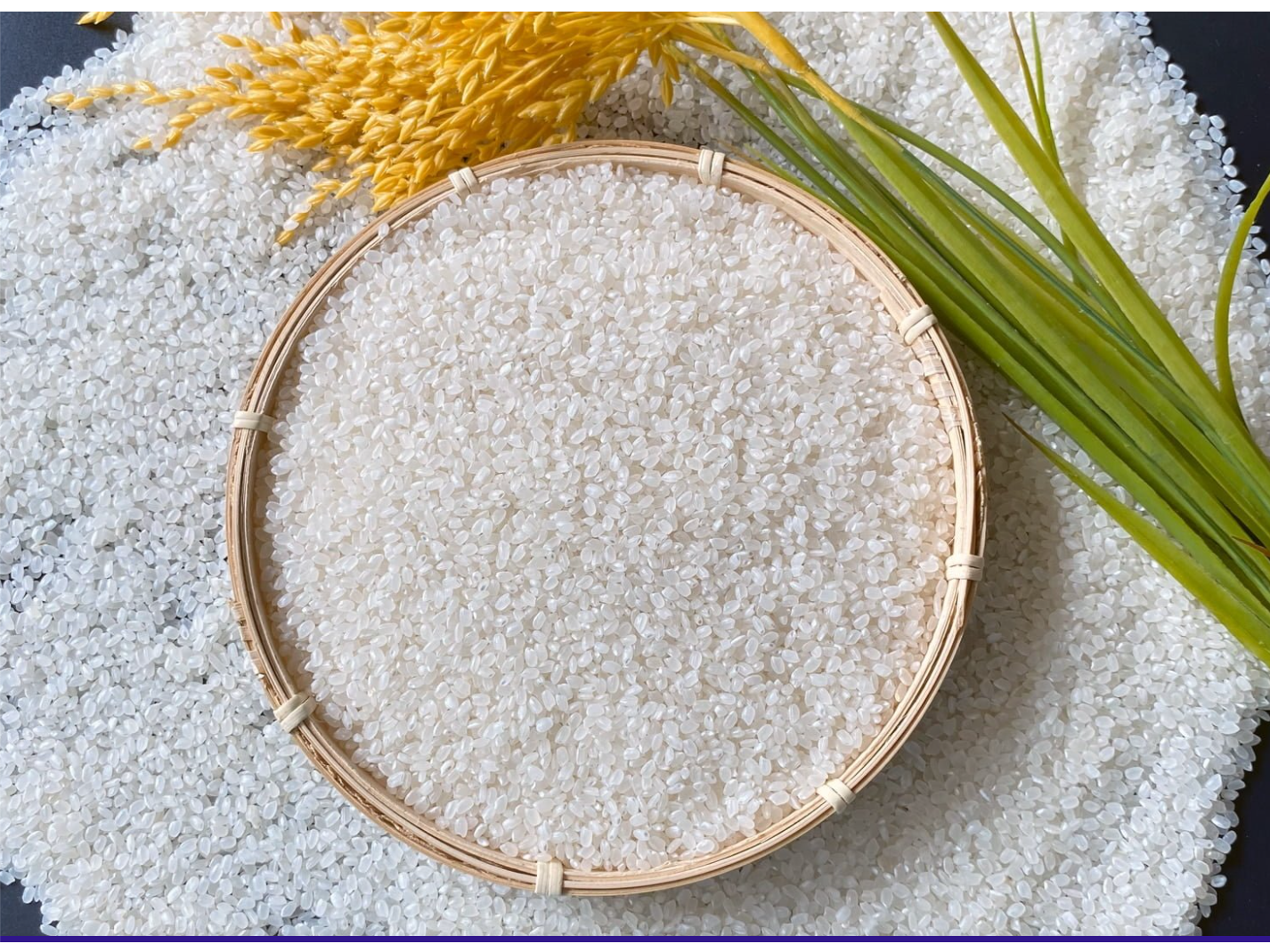 Arroz Koshihikari (para sushi)