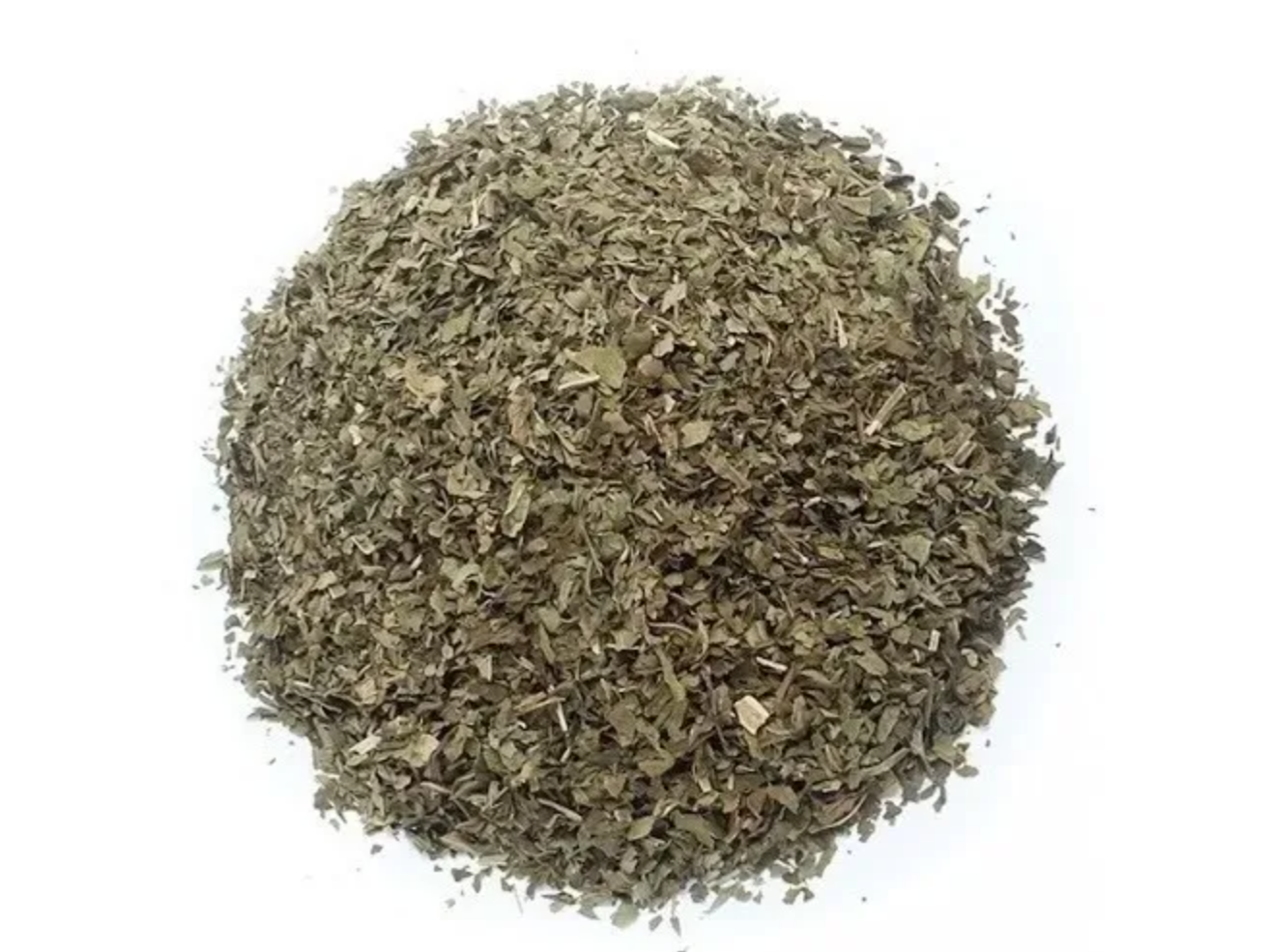 Menta Peperina Egipto
