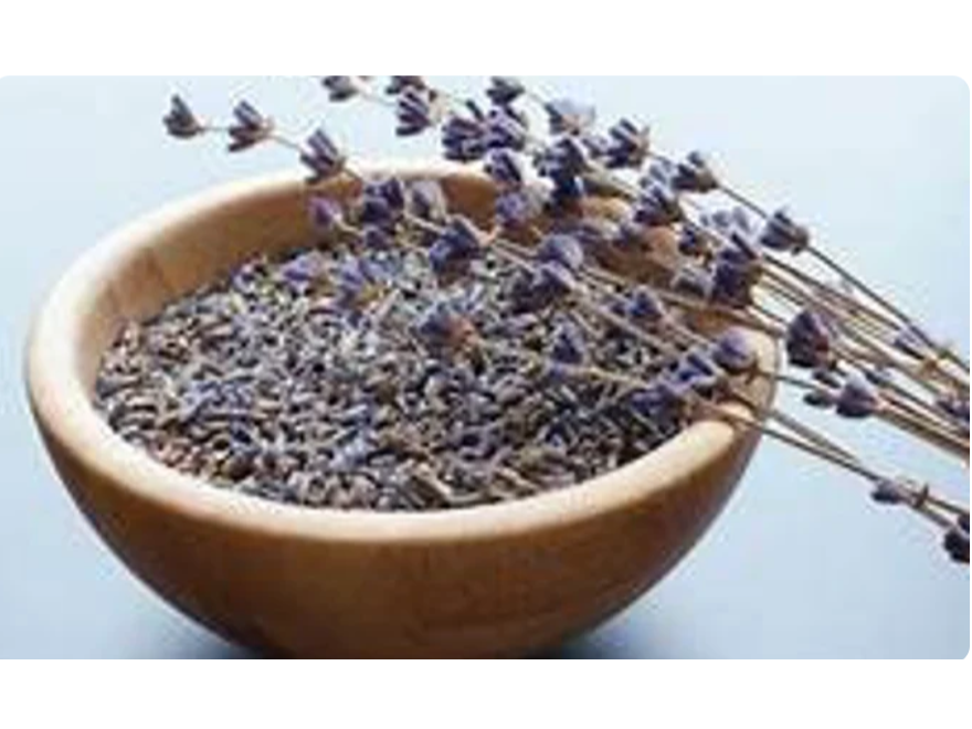 LAVANDA