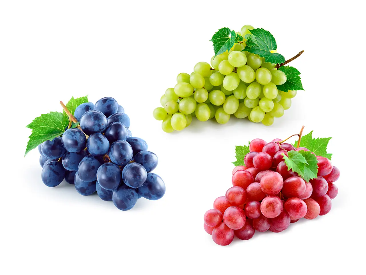 Uvas