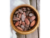 Semilla de Cacao - Bliss