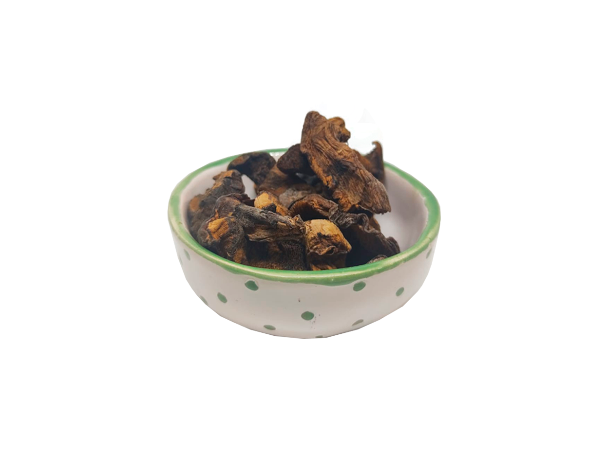 Hongos Secos de Pino