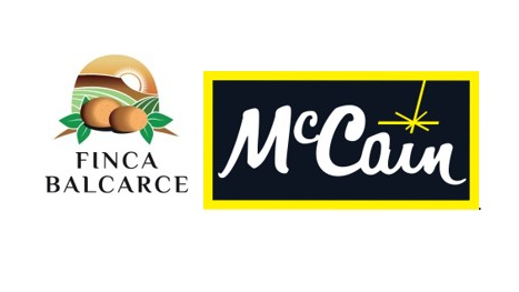 MCCAIN-BALCARCE