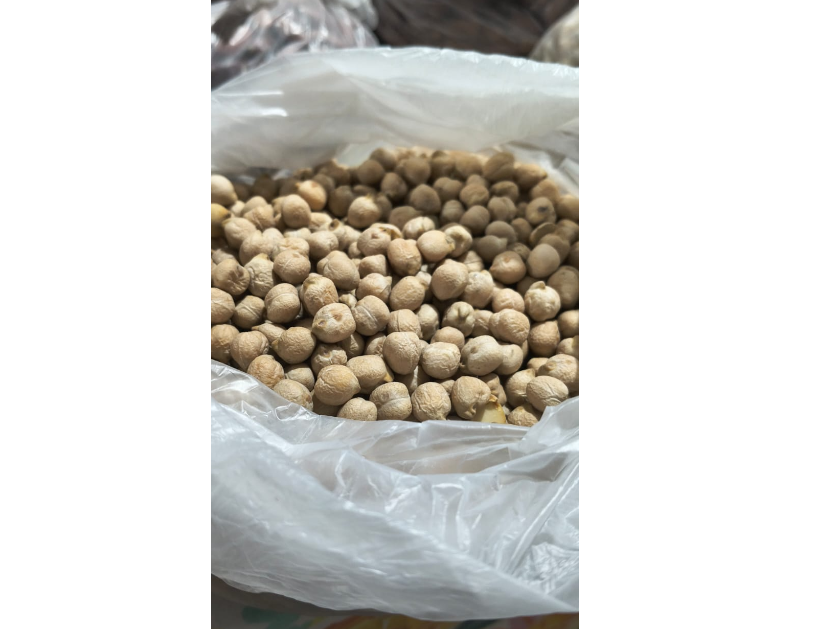 Garbanzo