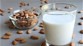 Leches vegetales