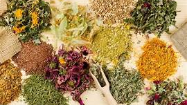 Hierbas medicinales y aromáticas