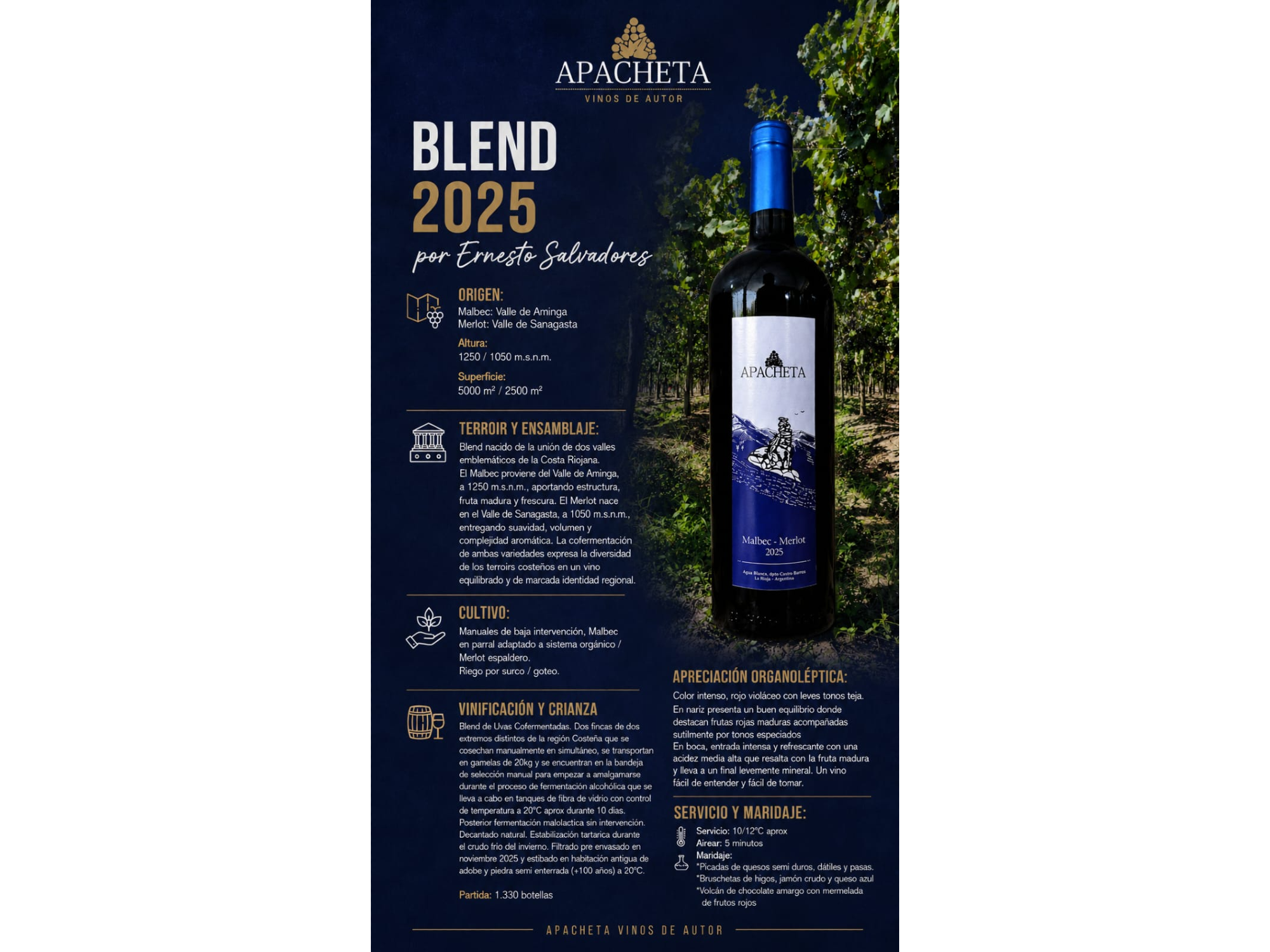 Blend Malbec- Merlot "Apacheta"
