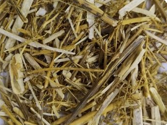 Yerba Larca