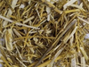 Yerba Larca