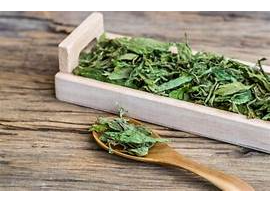 Stevia