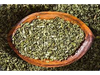 Moringa