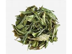 Stevia en hojas