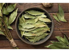 Laurel