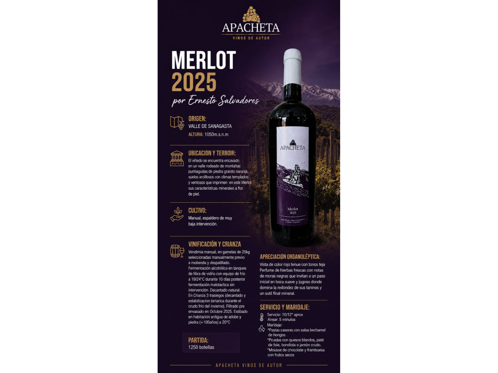 Merlot "Apacheta"