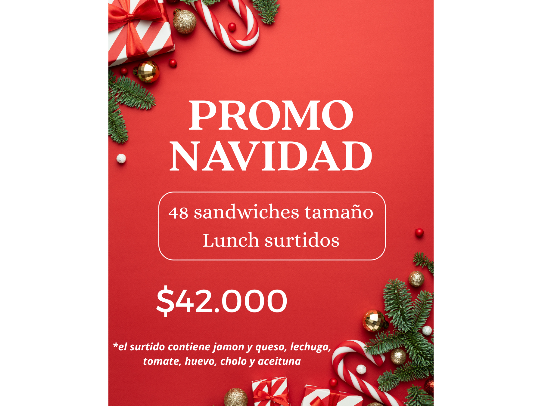 PROMO NAVIDAD
