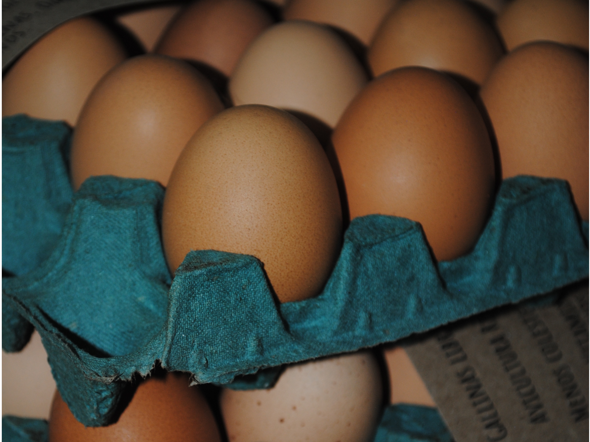 HUEVOS PASTORILES MEDIANOS