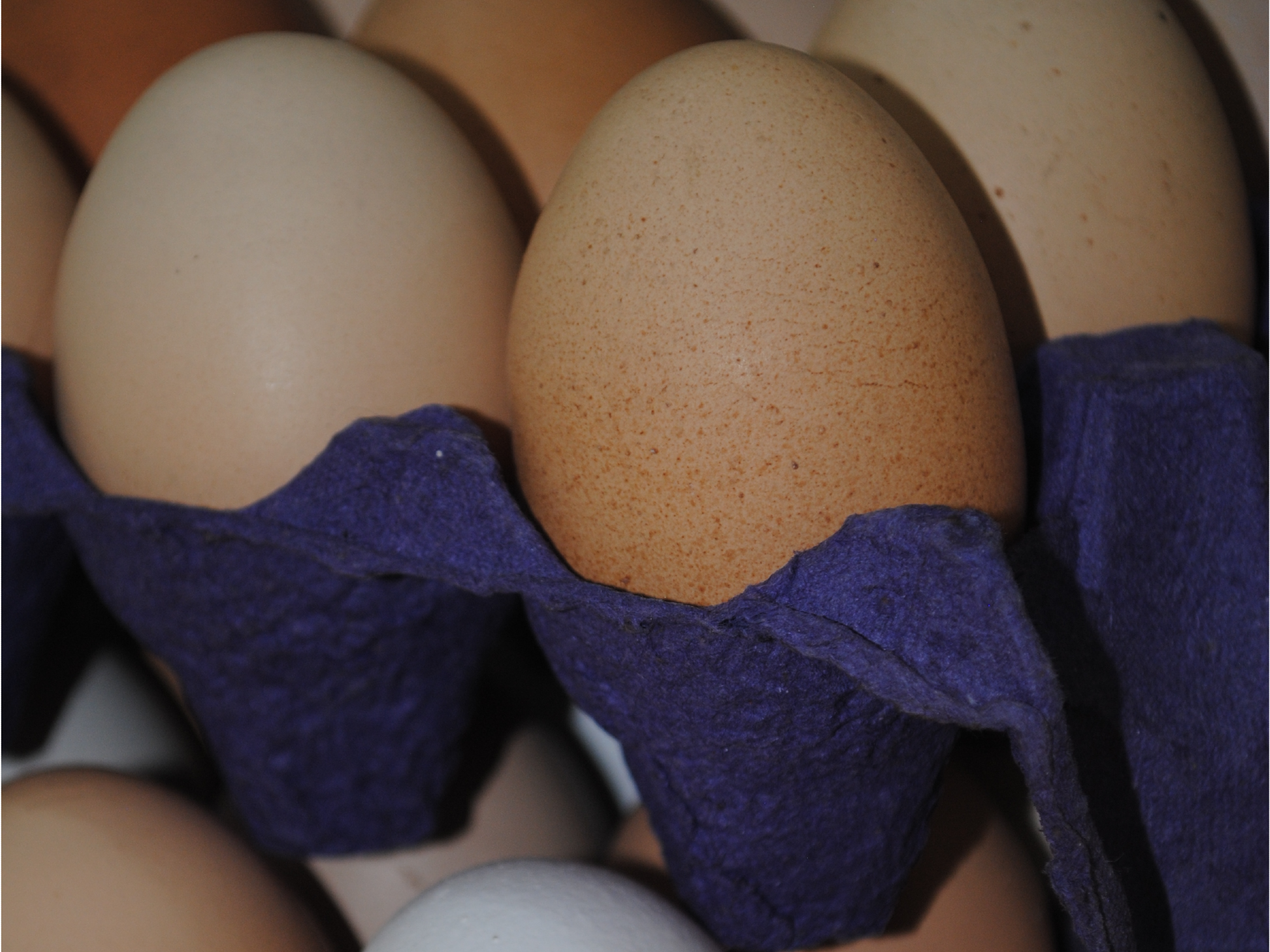 HUEVOS PASTORILES GRANDE