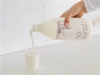 YOGURT NATURAL