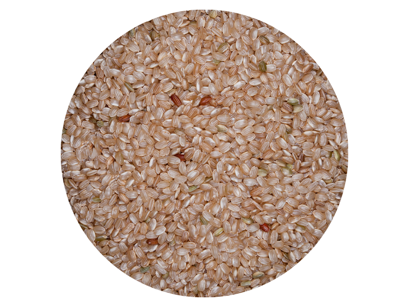 ARROZ YAMANÍ INTEGRAL