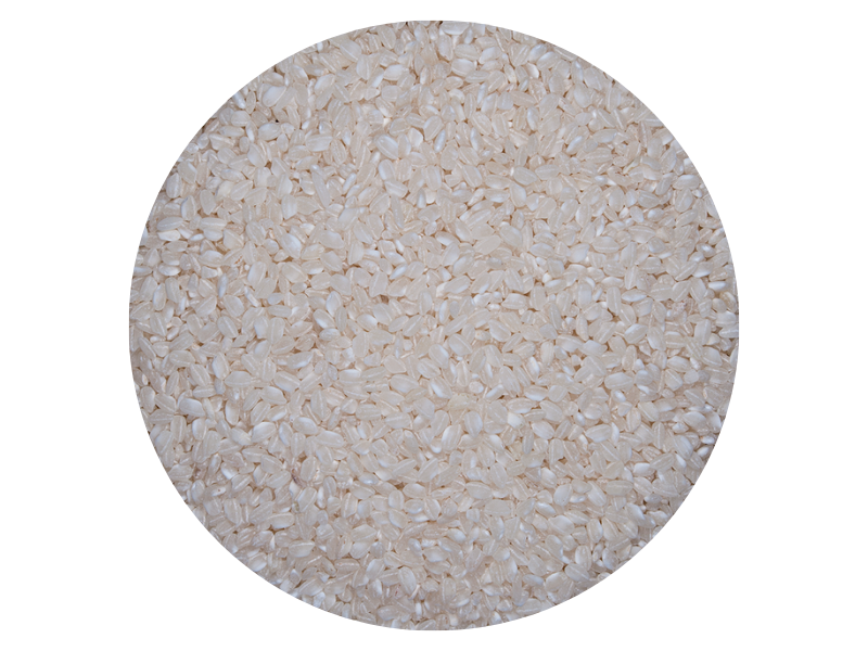 ARROZ KOSHIHIKARI - SUSHI