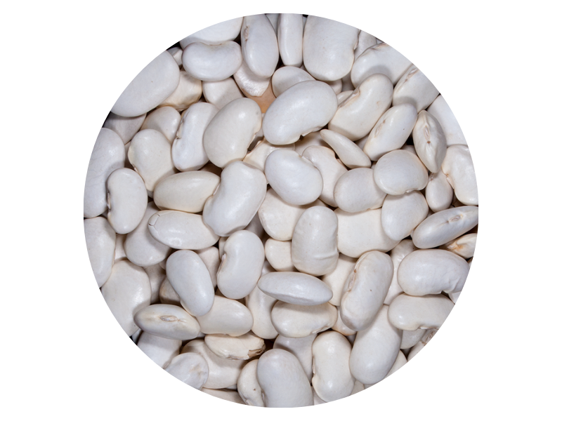 POROTO PALLARES (BLANCO)